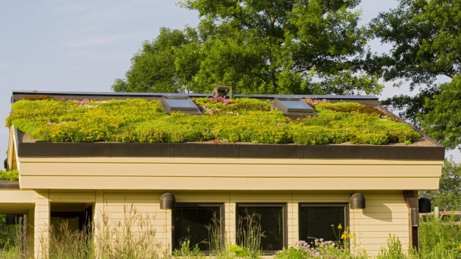 Aprovada em Blumenau lei que incentiva uso do telhado verde