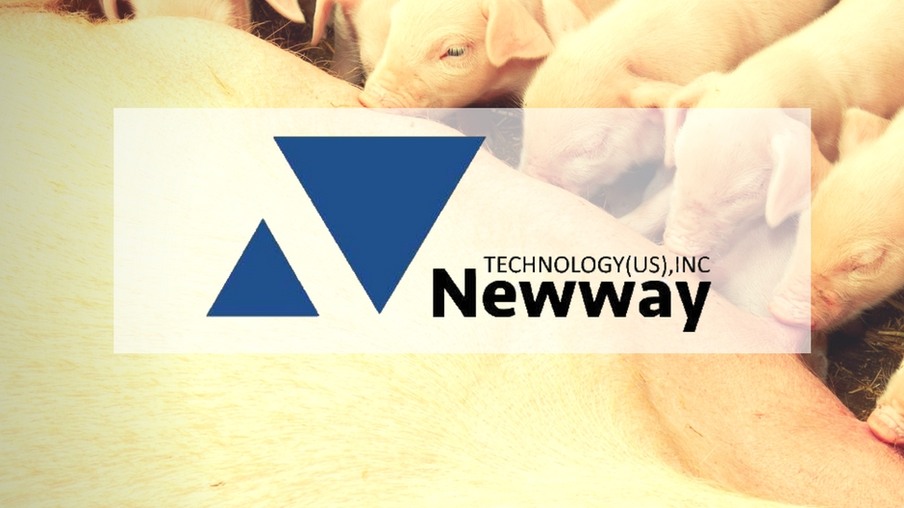 Newway apresenta no Paraná tecnologia em ultrassom para suínos