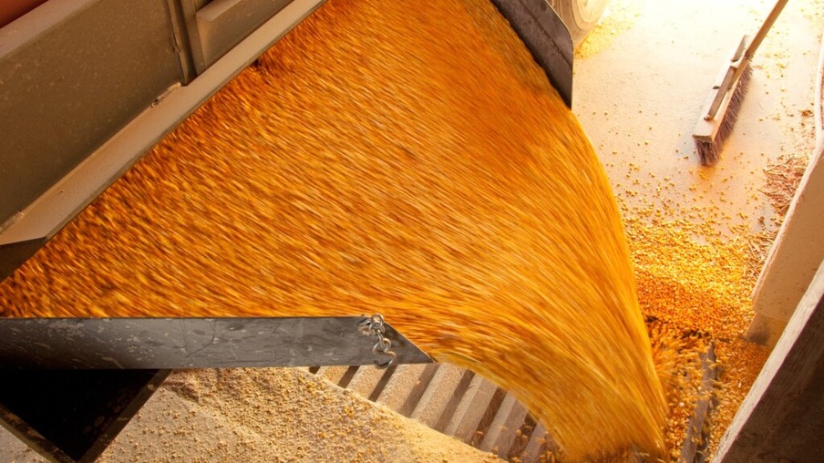 Embargo da UE afeta produção de ração e demanda por grãos