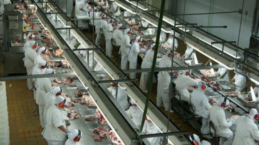 Santa Catarina retoma crescimento nas exportações de carne de frango em maio