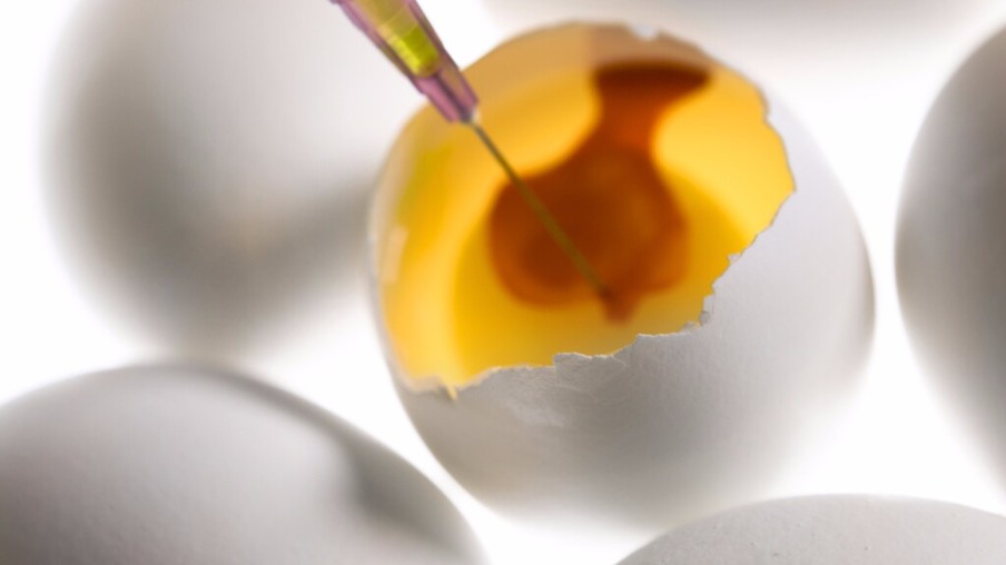 Ovos podem substituir ensaios com técnicas invasivas em mamíferos