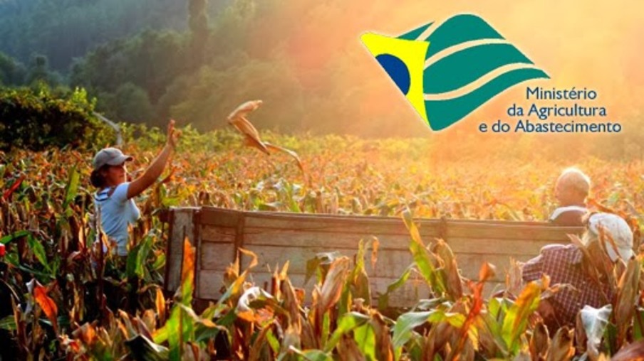 Ministério da Agricultura, Pecuária e Abastecimento participa da AveSui América Latina
