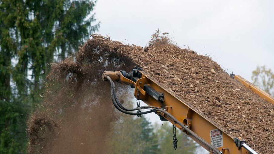 Fundo Ambiental apoiará pequenas centrais de biomassa com 2 milhões de euros