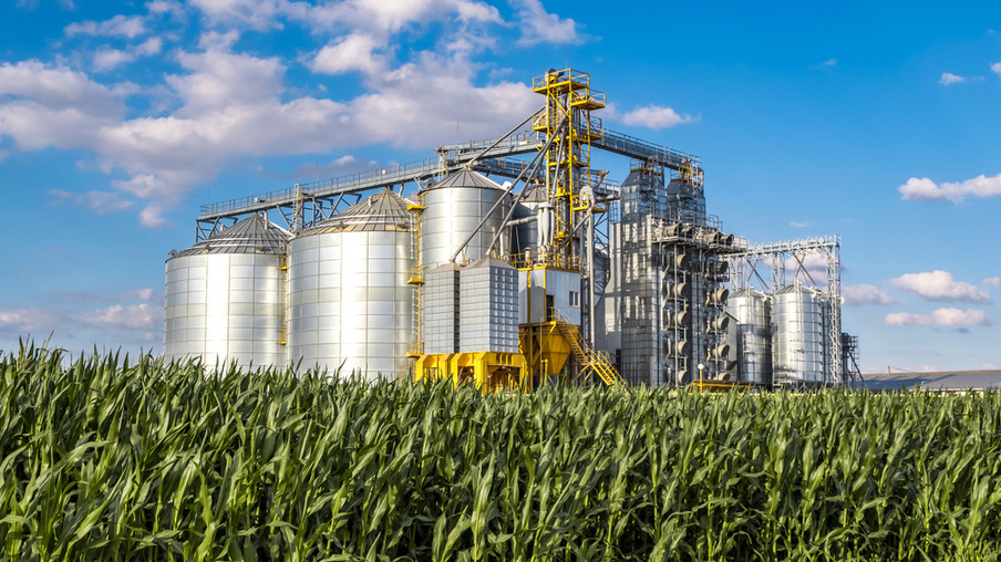 Produção agroindustrial avança 2,5% em agosto, puxada por produtos alimentícios e bebidas