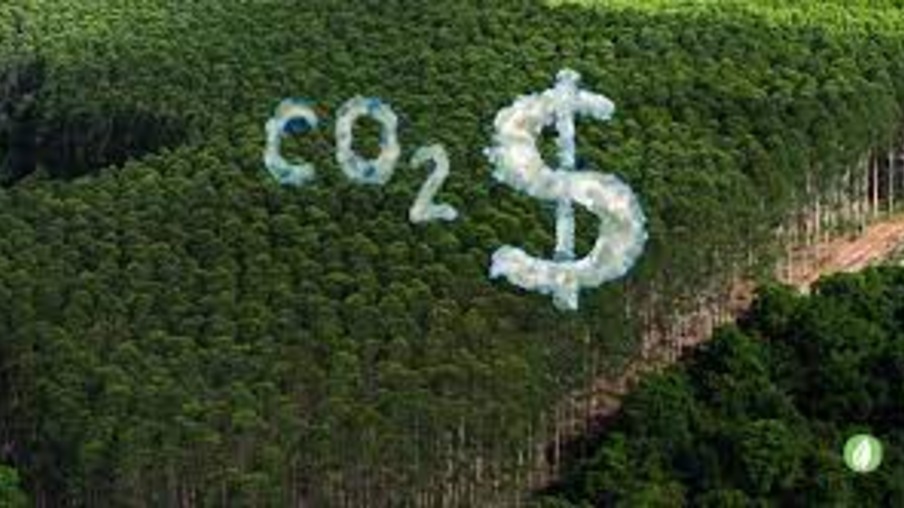 Impasse no mercado de carbono: dificuldade na aprovação antes da COP28 preocupa setor