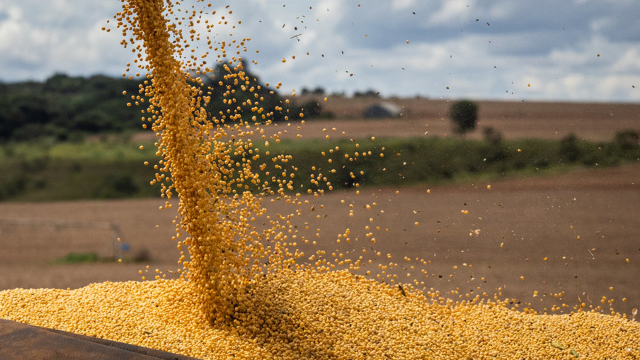 Colheita de soja 2023/24 no Brasil chega a 21% da área; milho safrinha tem 18,6% semeado