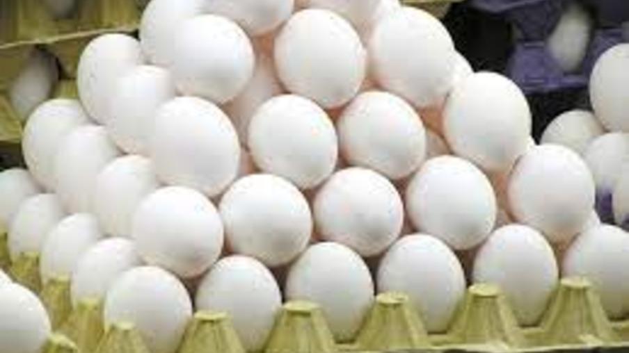 Oferta se ajusta à demanda e sustenta cotações de ovos no mercado