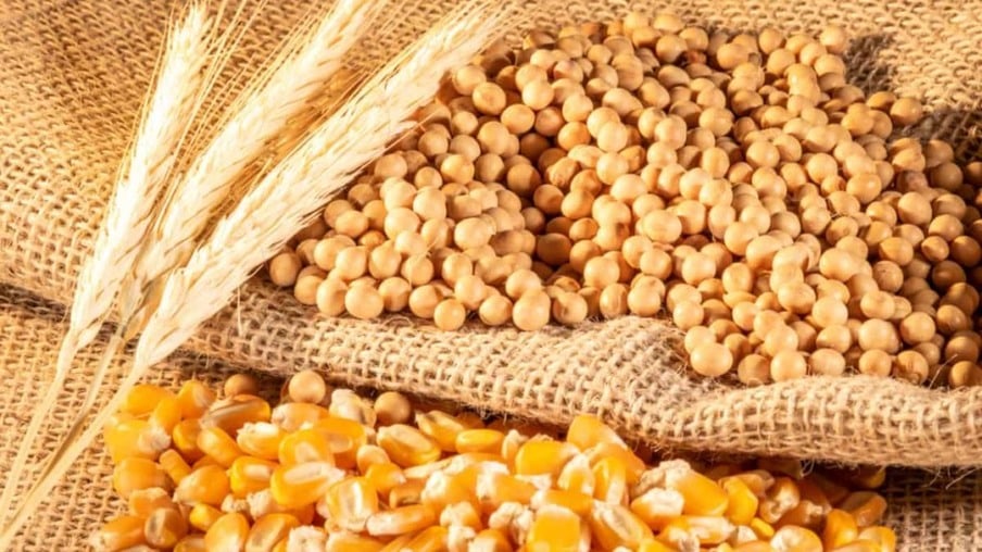 Poder de compra dos suinocultores paulistas oscila em relação ao milho e ao farelo de soja