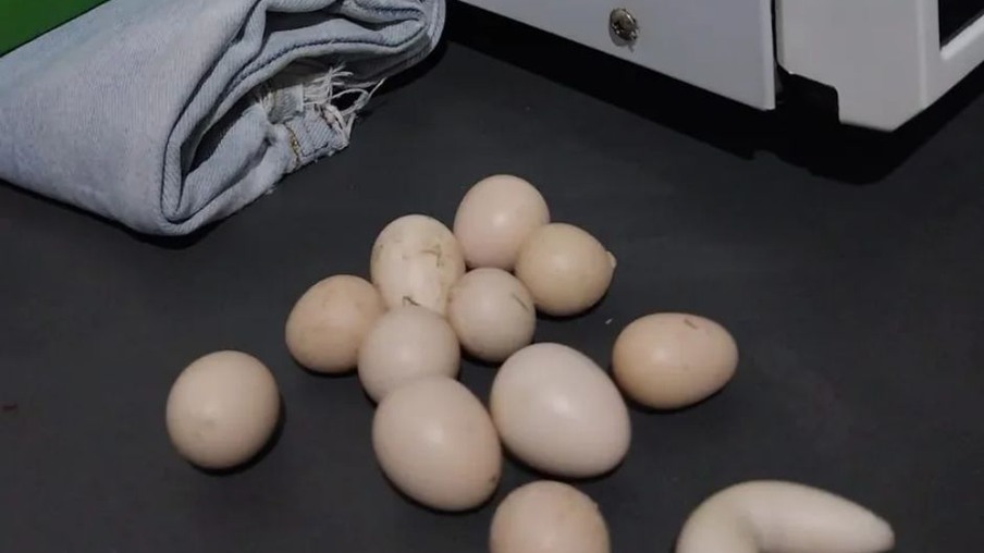 Ovos em formatos diferentes foram botados por uma galinha em Morro do Ferro, distrito de Oliveira — Foto: Júlio César/Divulgação