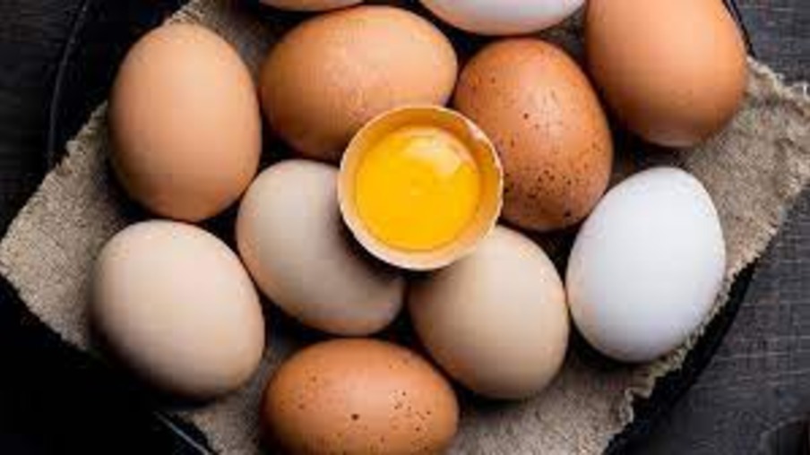 Exportações de ovos do Brasil alcançam crescimento de 168,1% em 2023