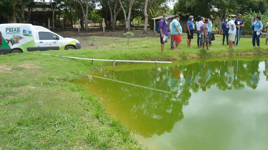 Governo de Rondônia assegura continuidade da oferta de peixes durante o período de defeso