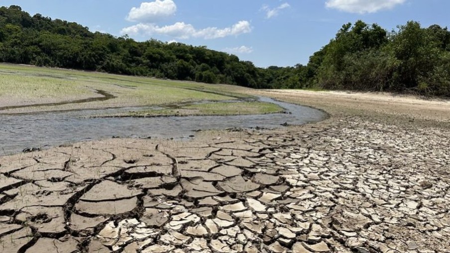 Estudo aponta que mudanças climáticas foram principal causa da seca recorde na Amazônia
