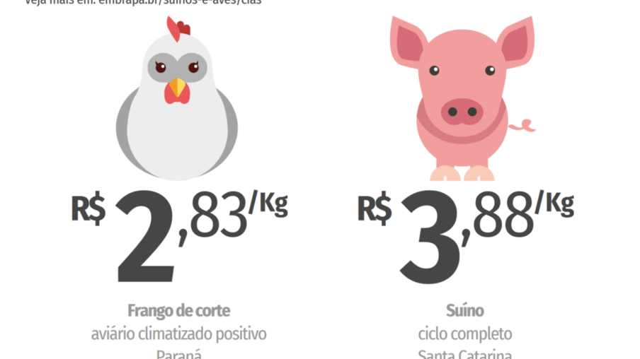 Custos de produção de suínos e de frangos de corte disparam em junho