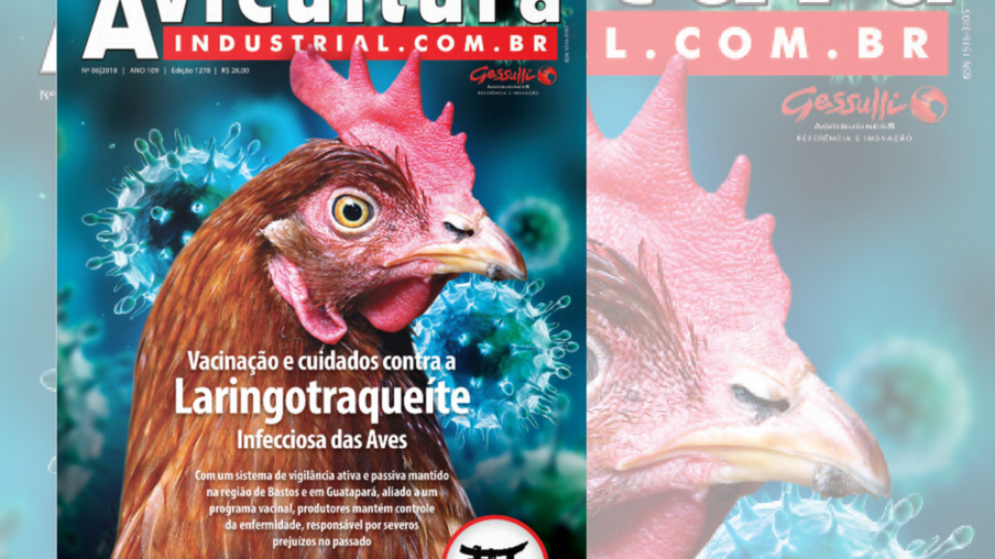 Nova edição da Avicultura Industrial já está disponível no site