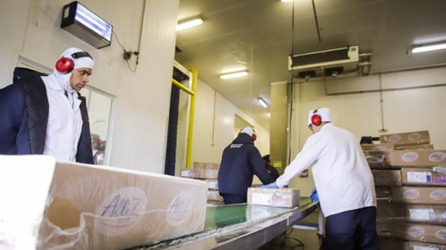São Paulo envia o primeiro lote de frango para China e abre mercado em um dos principais players de importação de proteína animal