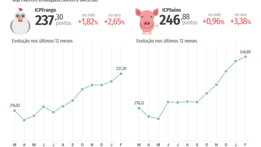 Custos de produção de suínos e de frangos de corte sobem em fevereiro
