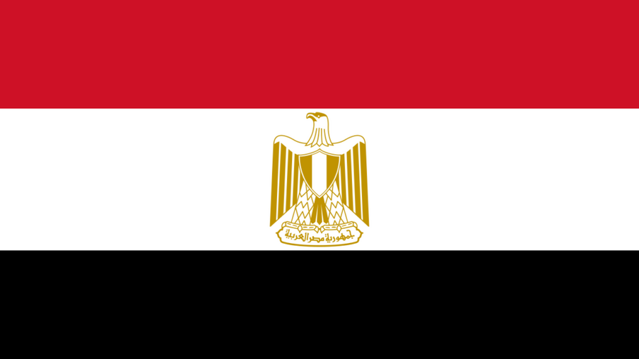 Egito retoma exportação de aves após proibição de uma década