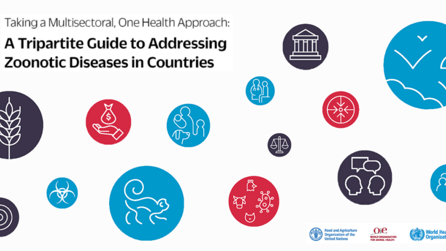 FAO, a OIE e a OMS lançam guia sobre a adoção de uma abordagem de saúde única para tratar doenças zoonóticas