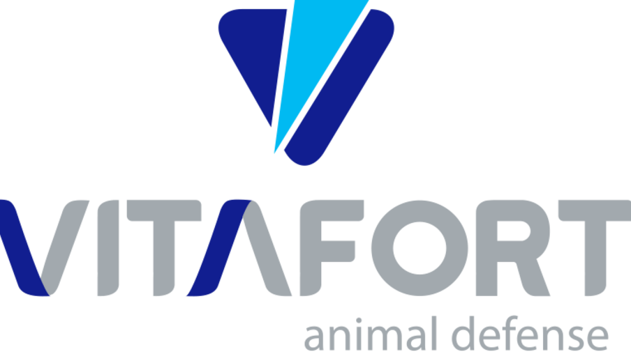 Vitafort anuncia nova coordenadora Técnica Comercial