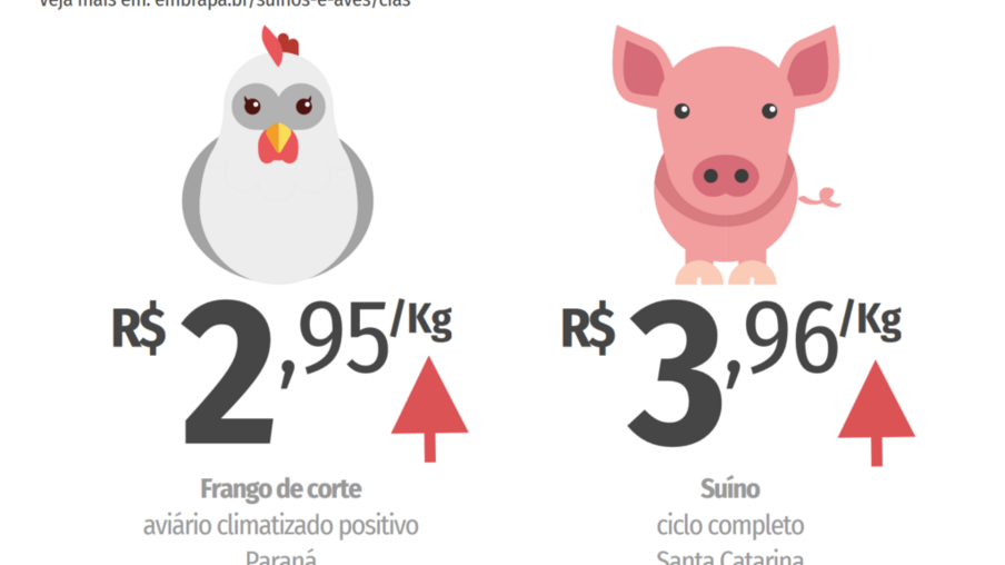Custos de produção de suínos e de frangos de corte atingem o maior valor do ano em R$/kg vivo em outubro
