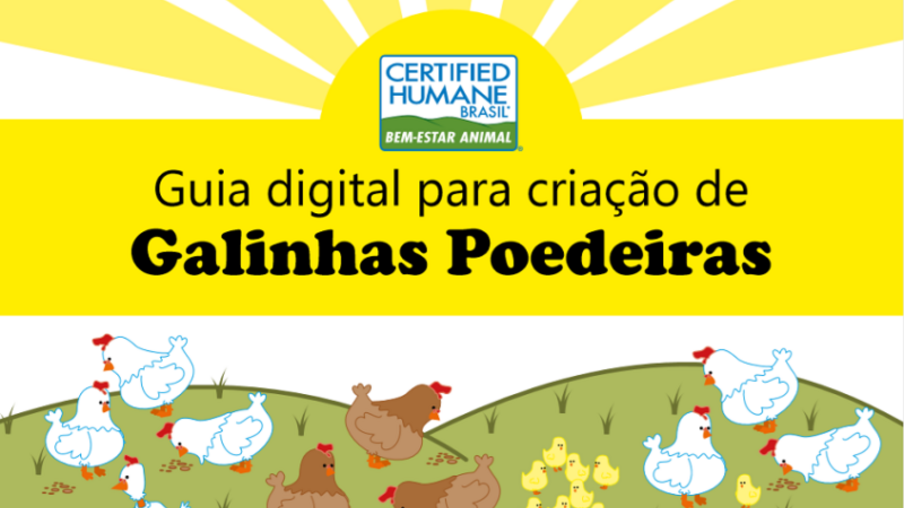 Certified Humane disponibiliza guia digital para criação de poedeiras