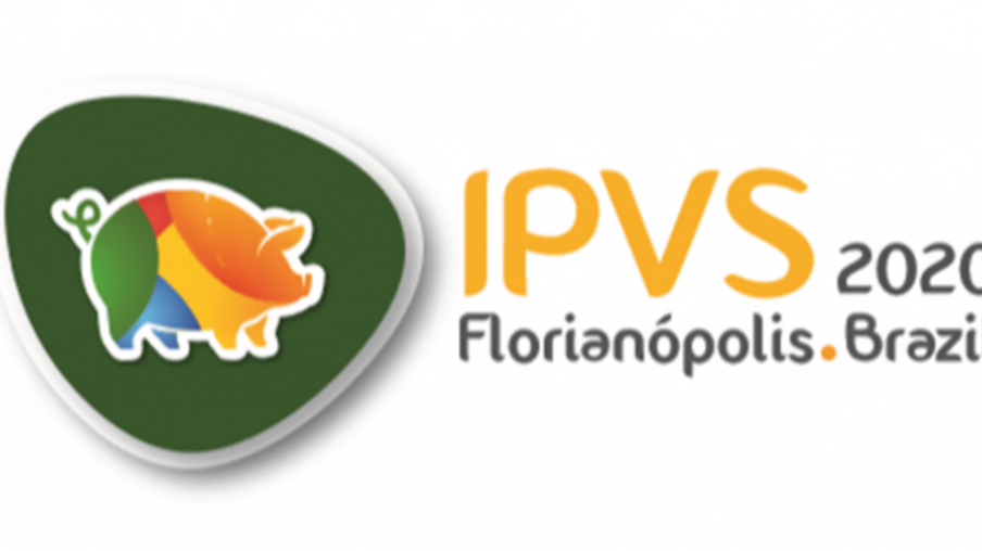 Brasil sedia IPVS 2020: maior evento mundial da suinocultura