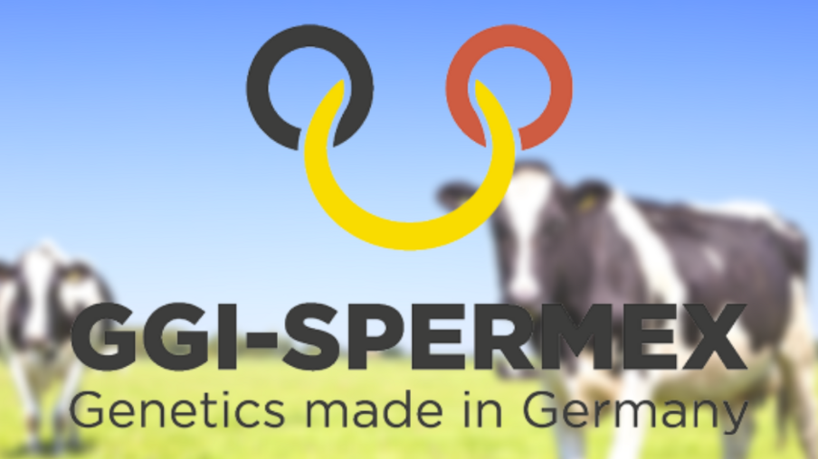 German GGi-Spermex presents insemination solutions for dairy farming