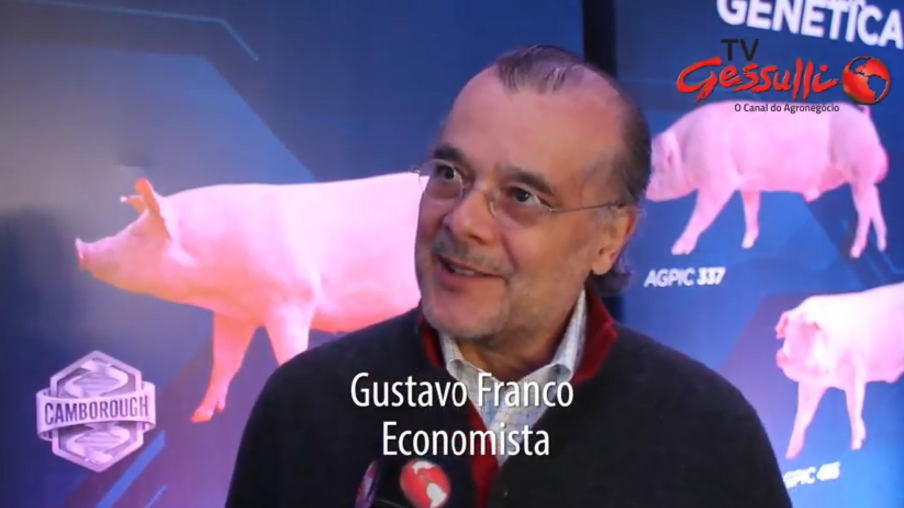 Eleições não devem trazer surpresa na economia, avalia Gustavo Franco
