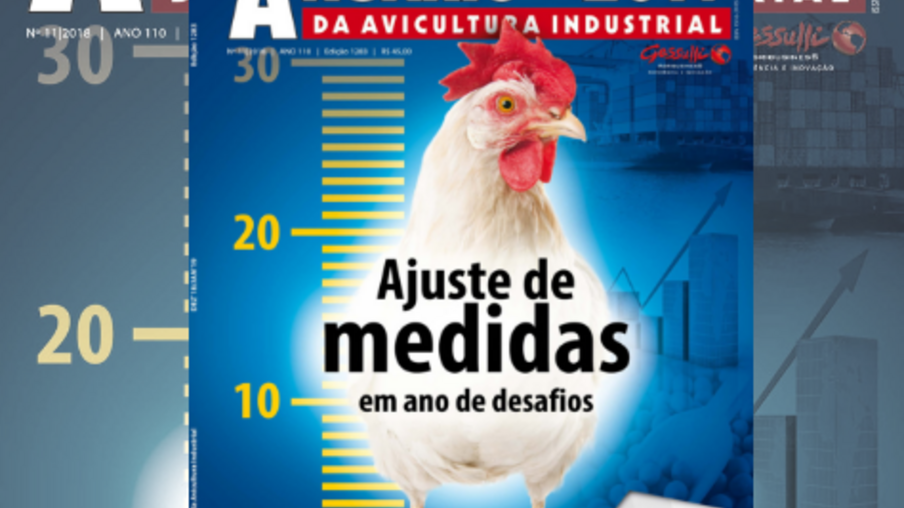 Anuário da Avicultura Industrial: 2019 será melhor para a avicultura