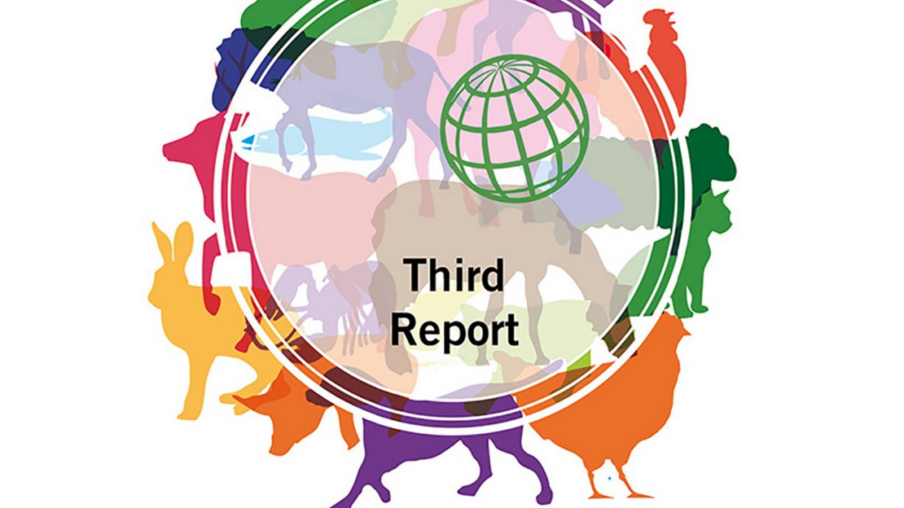 Relatório da OIE mostra progresso positivo na regulação e monitoramento do uso de antimicrobianos