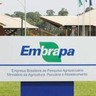 Governo Federal promete ampliação de  investimentos na Embrapa em comemoração aos 51 anos da empresa