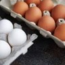 Composição da cesta básica de alimentos inclui os ovos como item essencial