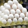 Preços dos ovos: estabilidade no final de novembro e perspectivas de aquecimento para dezembro
