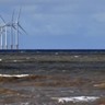 Cinquenta entidades demonstram interesse no concurso de energia eólica offshore