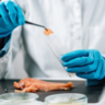 Da bancada ao prato: mudanças na rotulagem nos EUA para carne de laboratório