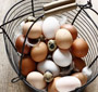 Ovos seguem estáveis Ovos seguem estáveis