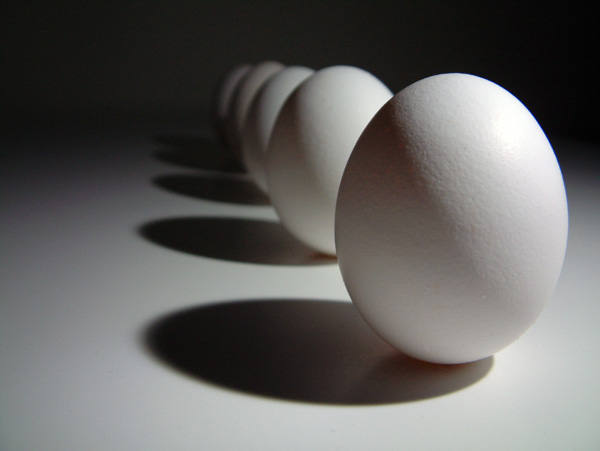 Preço do ovo de galinha pode cair Preço do ovo de galinha pode cair