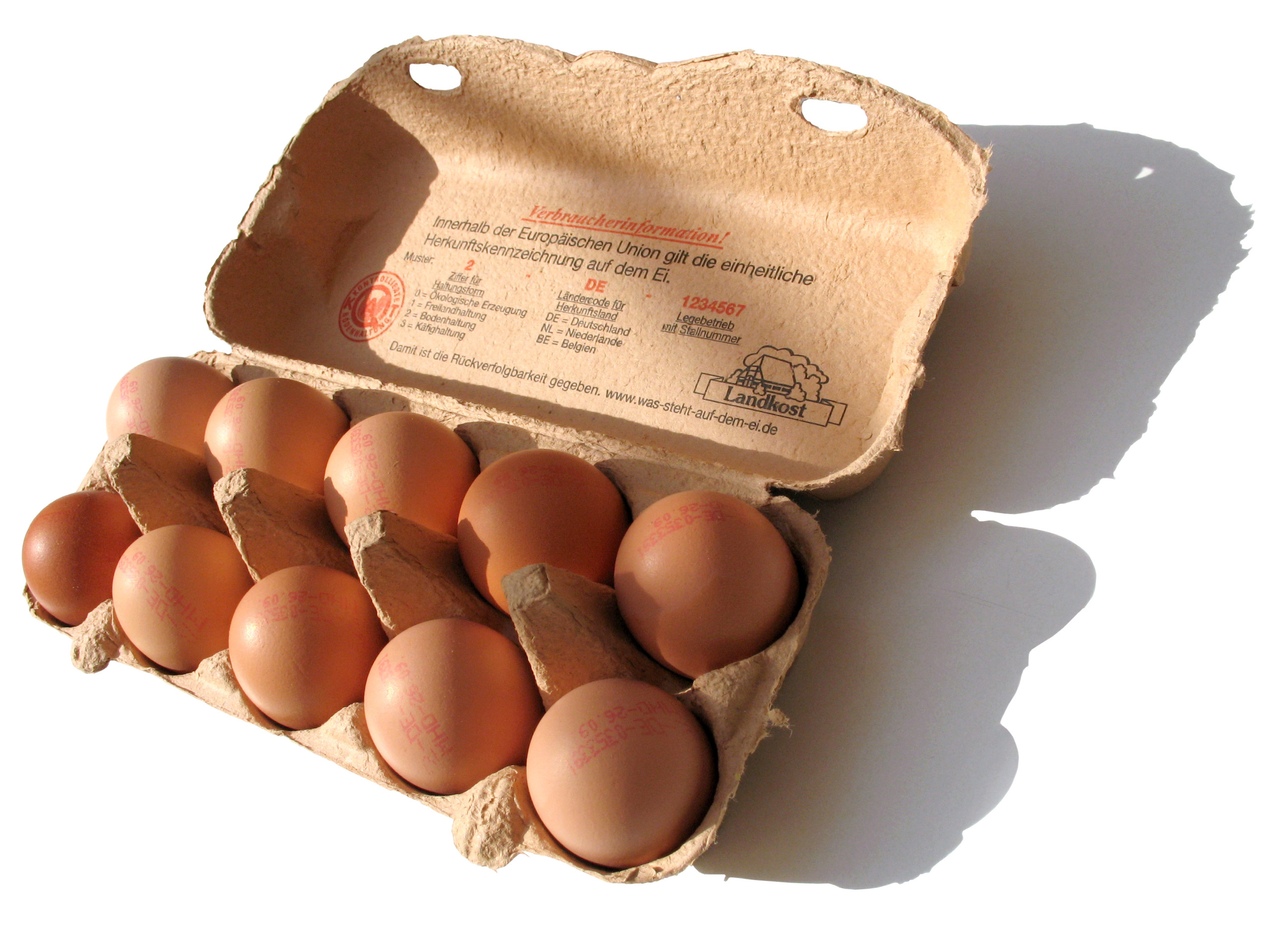 Entidades debatem rumos do segmento de ovos no país Entidades debatem rumos do segmento de ovos no país