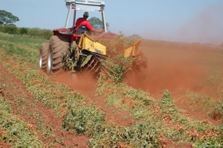 Em março, IBGE prevê safra de grãos 0,9% menor que em 2011 Em março, IBGE prevê safra de grãos 0,9% menor que em 2011