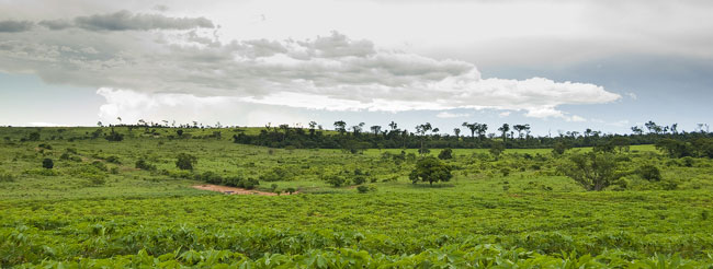 Brasil está acima da média em ranking de preservação do meio ambiente Brasil está acima da média em ranking de preservação do meio ambiente