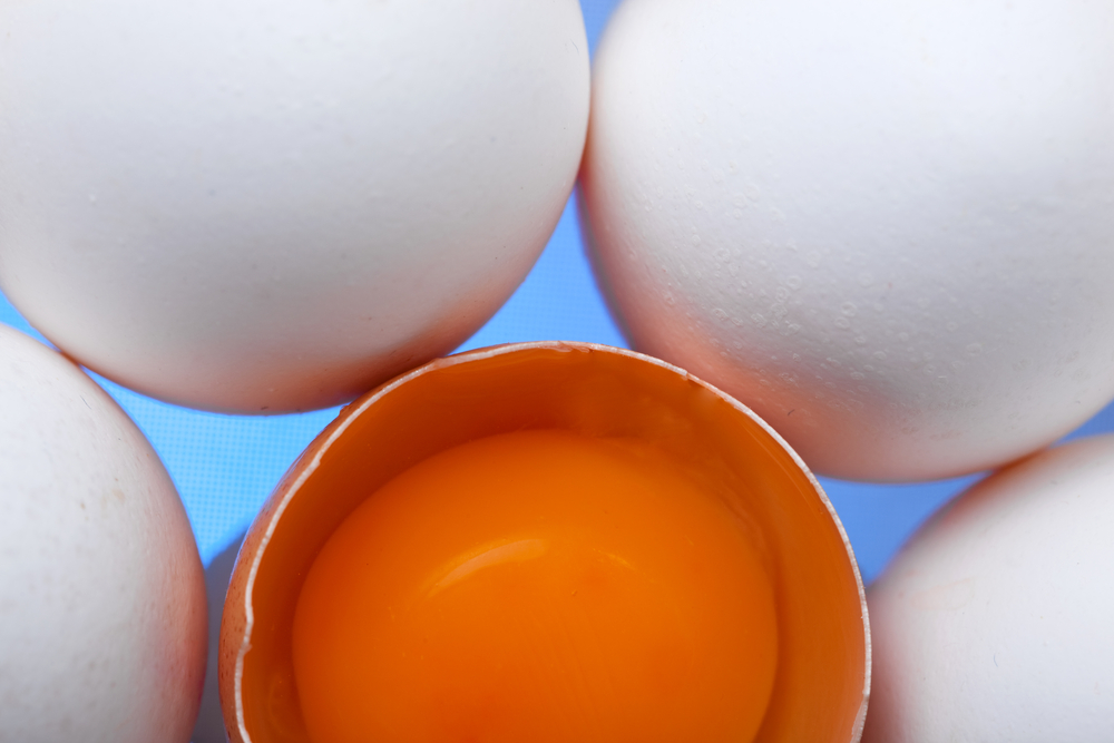 Após surto de gripe aviária, México cogita importar ovos Após surto de gripe aviária, México cogita importar ovos