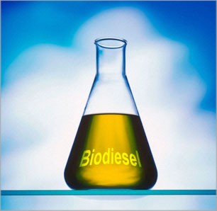 Produção de biodiesel cresce no Paraná, mesmo com desafios