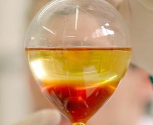 Sebo bovino é alternativa viável para produção de biodiesel Sebo bovino é alternativa viável para produção de biodiesel