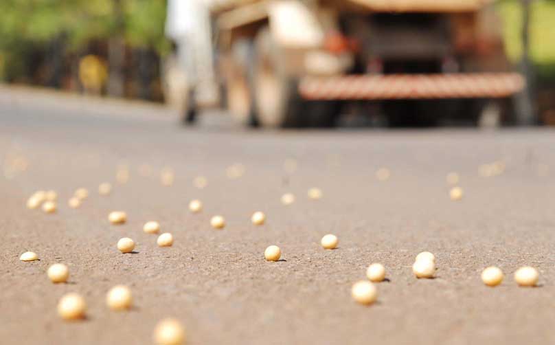 Transporte de grãos deve manter preço alto