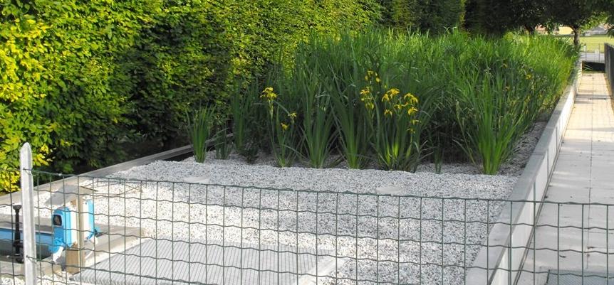 Leitos cultivados como tratamento complementar de lagoas de dejetos de suínos