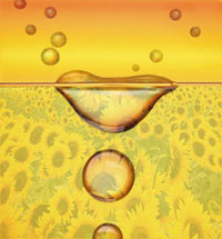 Crianças aprendem como óleo de fritura pode virar biodiesel Crianças aprendem como óleo de fritura pode virar biodiesel