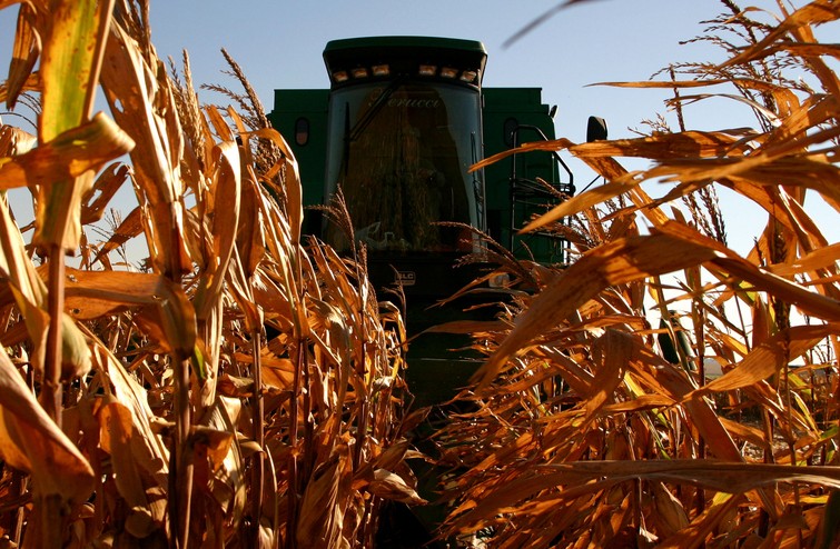Lucro da Bunge dobra no primeiro trimestre Lucro da Bunge dobra no primeiro trimestre