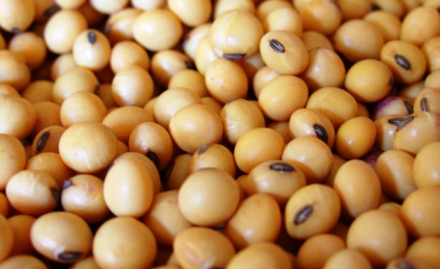 Com soja valorizada, Brasil deve assumir dianteira em safra 13/14