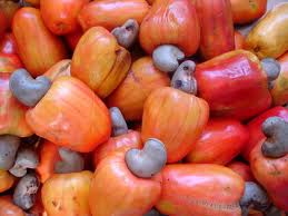 Cajucultores querem ampliar o comércio da biomassa Cajucultores querem ampliar o comércio da biomassa