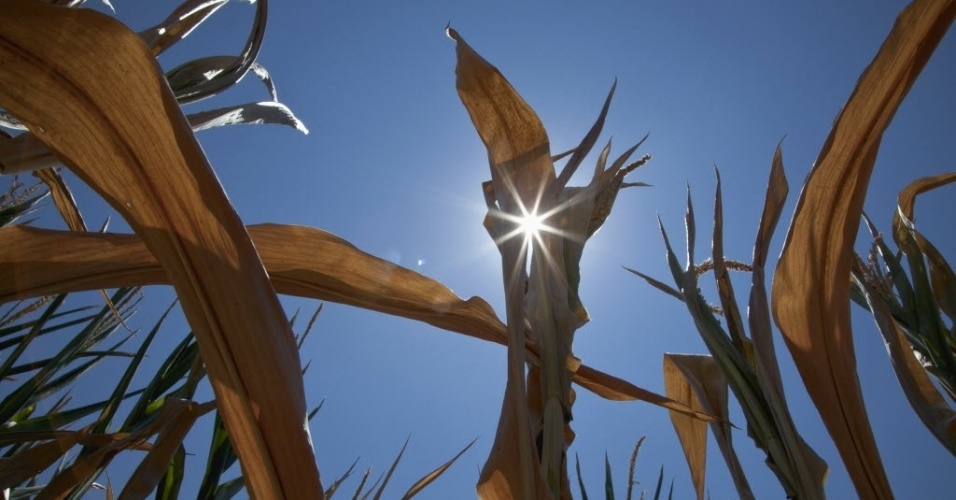 Agricultura pode viver era de moderação, diz economista Agricultura pode viver era de moderação, diz economista